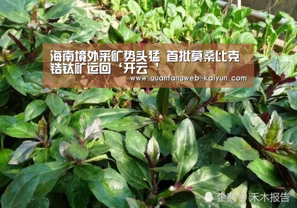  即时比分入口