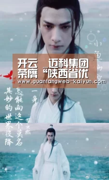 开云 _迈科集团荣膺“陕西省优秀民营企业”(图1) 开云