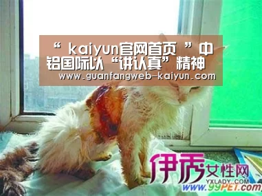  即时比分入口