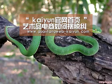 开云 