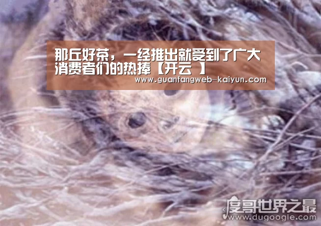 那丘好茶,一经推出就受到了广大消费者们的热捧【开云 】(图2) 即时比分入口