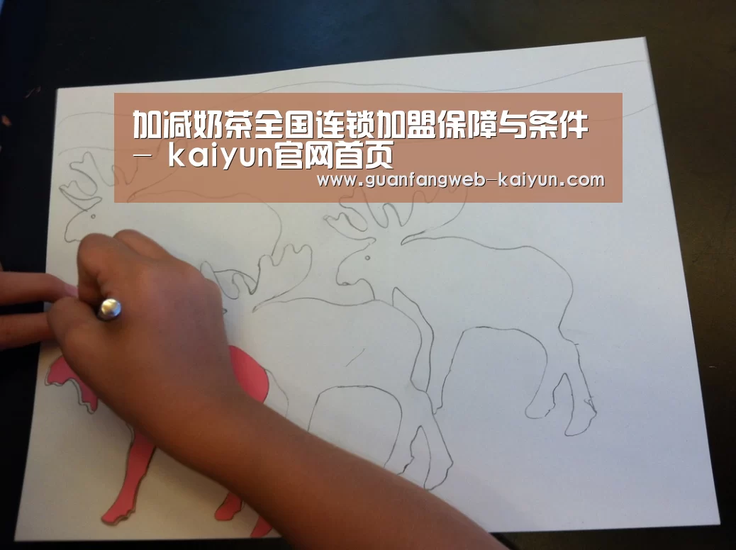 加减奶茶全国连锁加盟保障与条件- kaiyun官网首页 